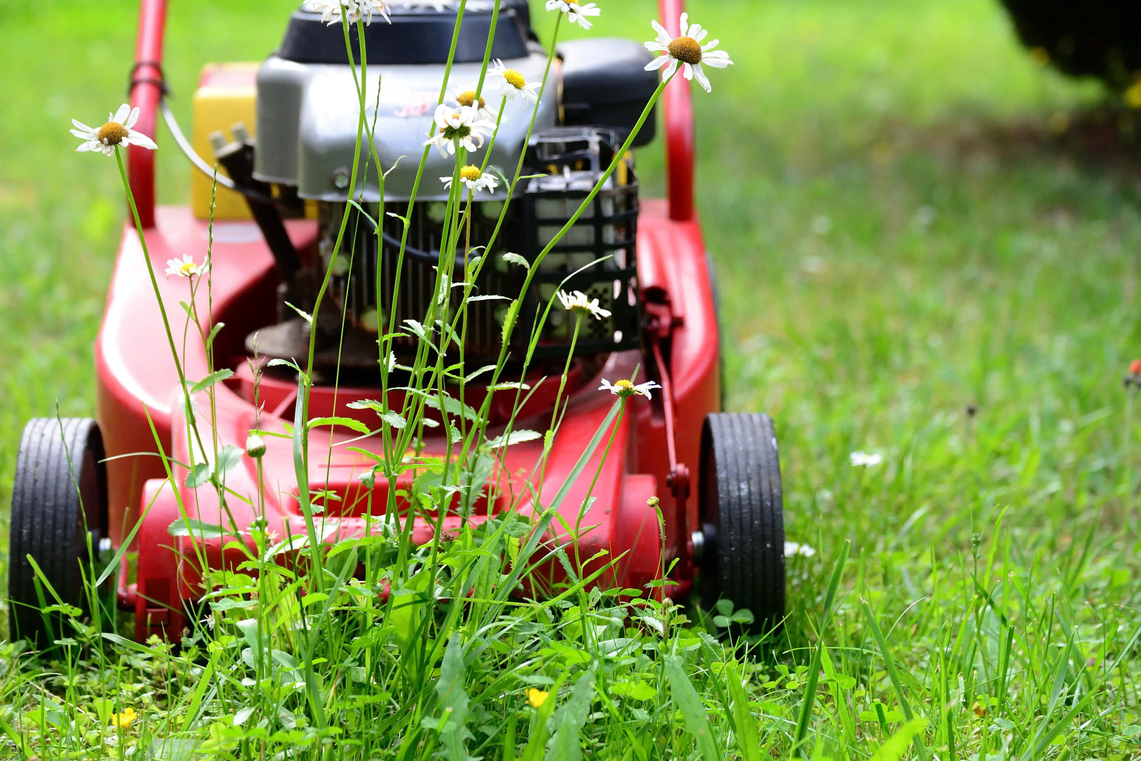 Pflaster- und Gartenarbeiten